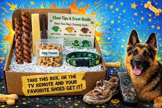 March 🍀LuckyDog🍀 Subscription Box 📦 Large Breed